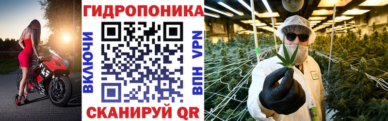 mega ссылка  где можно купить   Полярные Зори  Марихуана план 